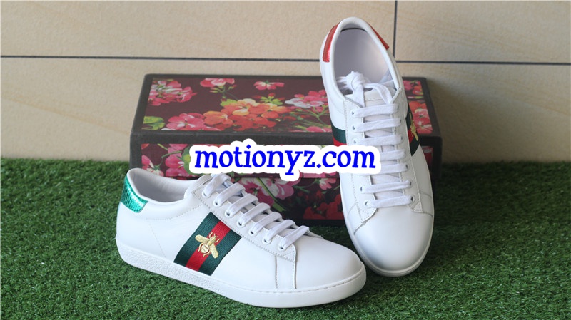 Ace Embroidered Sneaker Low Top